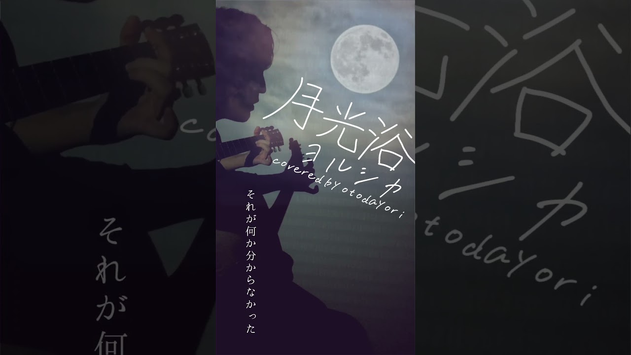 月光浴/ヨルシカ【ギター弾き語り】映画『大雪海のカイナ ほしのけんじゃ』主題歌 (Acoustic covered by otodayori)【歌詞付】#shorts