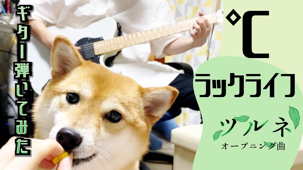 【ツルネ】℃/ラックライフ ギター弾いてみた「ツルネ －つながりの一射－」オープニング主題歌【京アニ】