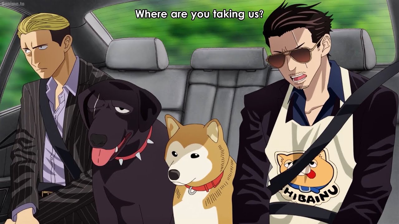 極主夫道 面白い瞬間 #14 - (タツの愛犬)