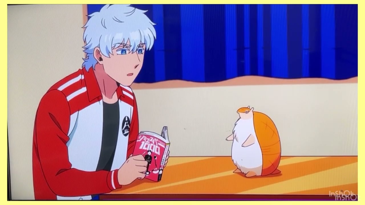 アルマジロのジョン　おしり