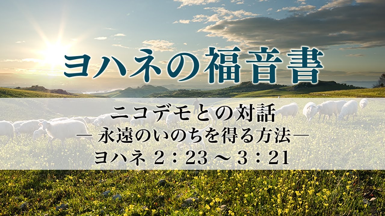 ヨハネの福音書（5）「ニコデモとの対話―永遠のいのちを得る方法－」　ヨハ2：23～3：21