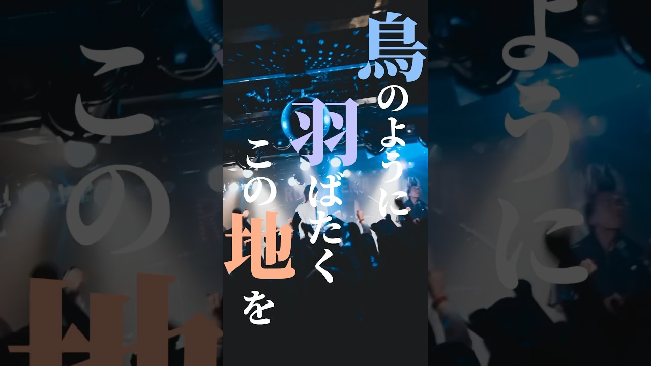 Organic Call【スターライト】Lyric Video #band #live #おすすめ曲 #shorts