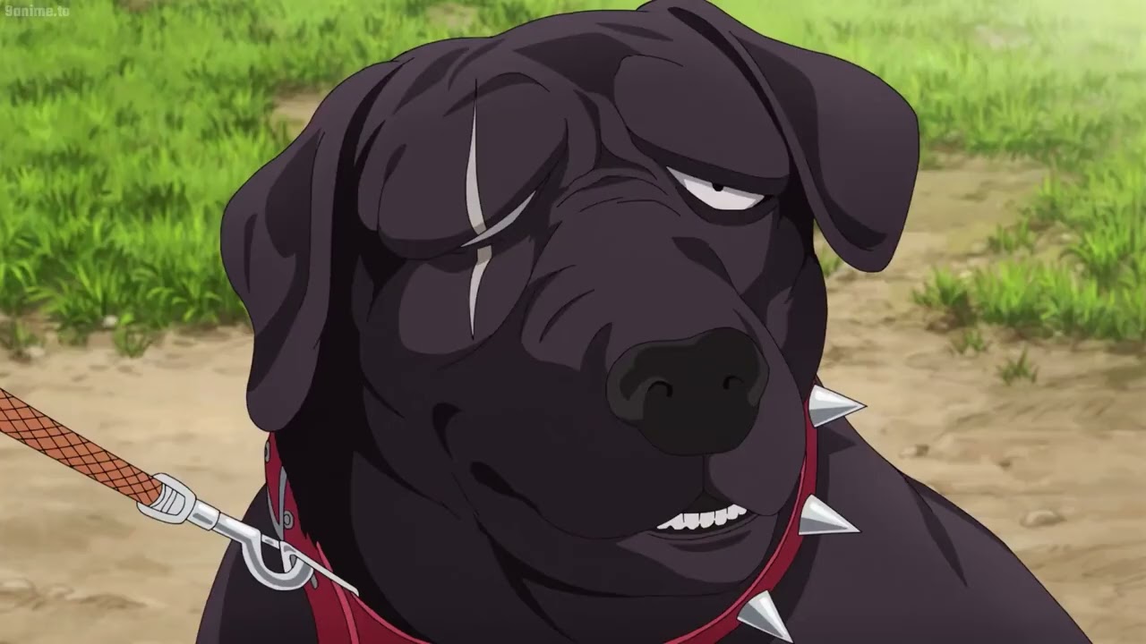 The Way of the Househusband Best Moments #36 || 極主夫道 最高の瞬間 - Tatsu Funny Moments