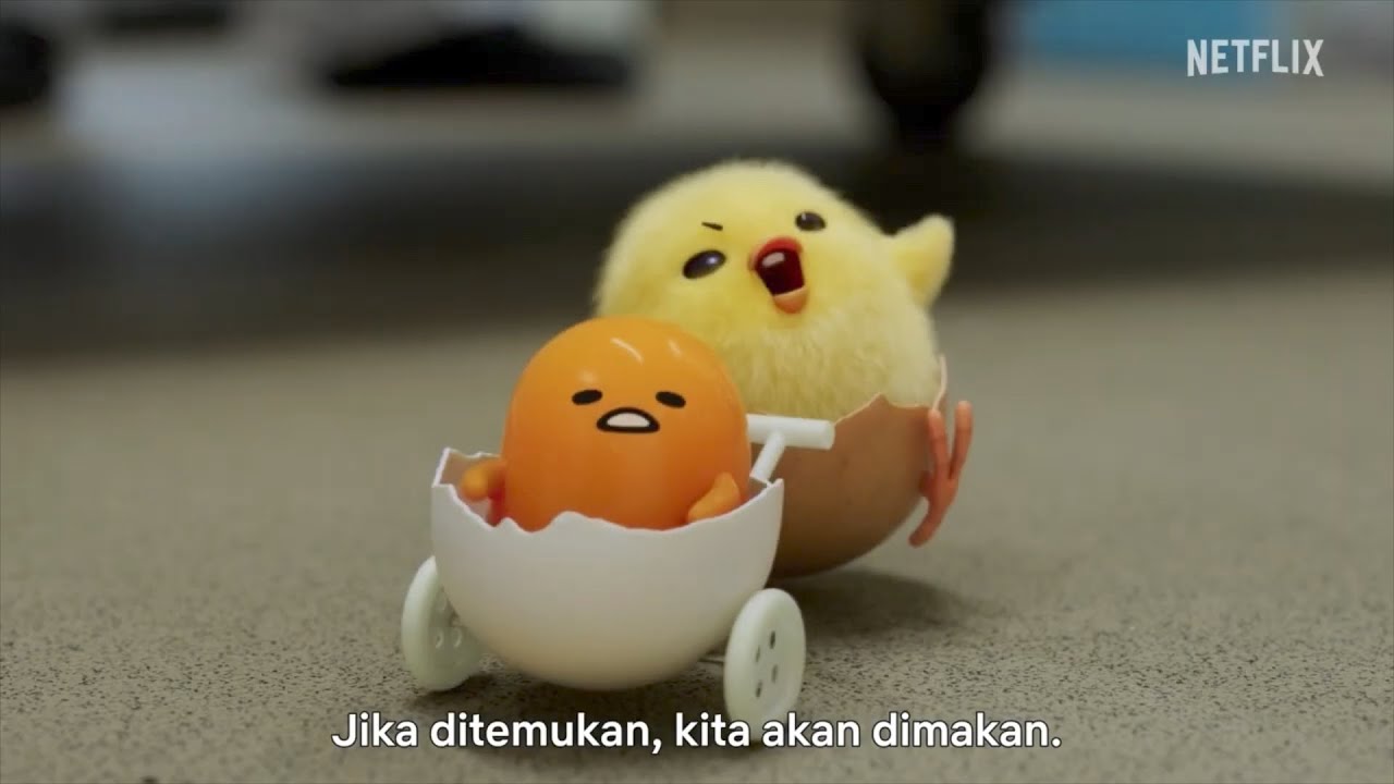 Ayam lucu bermain bersama gudetama @zanzankidsgo