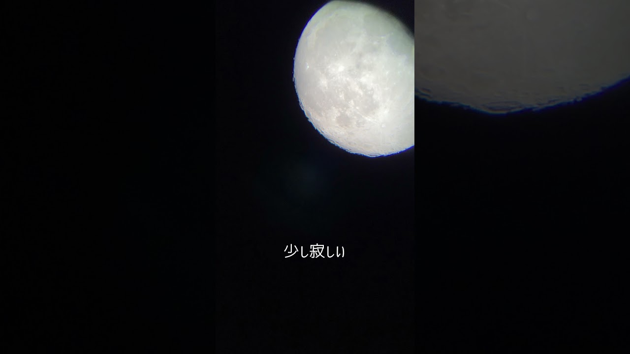 【歌ってみた】 #月光浴  (shortver) / #ヨルシカ（映画『#大雪海のカイナ  ほしのけんじゃ』主題歌）【シンクルーマーちひろ】#shorts 他の動画は▷@sync_chihiro