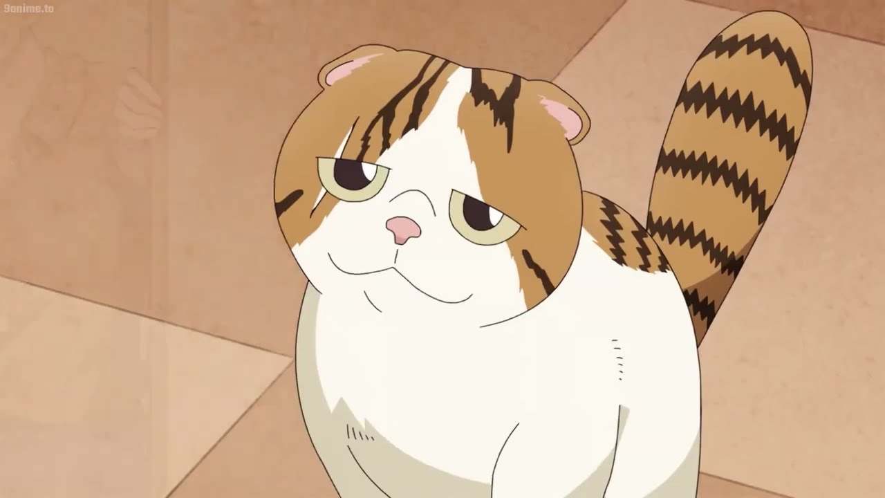 The Way of the Househusband Best Moments #38 || 極主夫道 最高の瞬間 - Tatsu Funny Moments