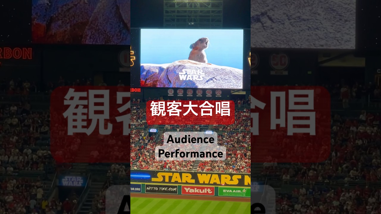 Chewbacca Did Queen's Call And Response in a Stadium - Star Wars Night