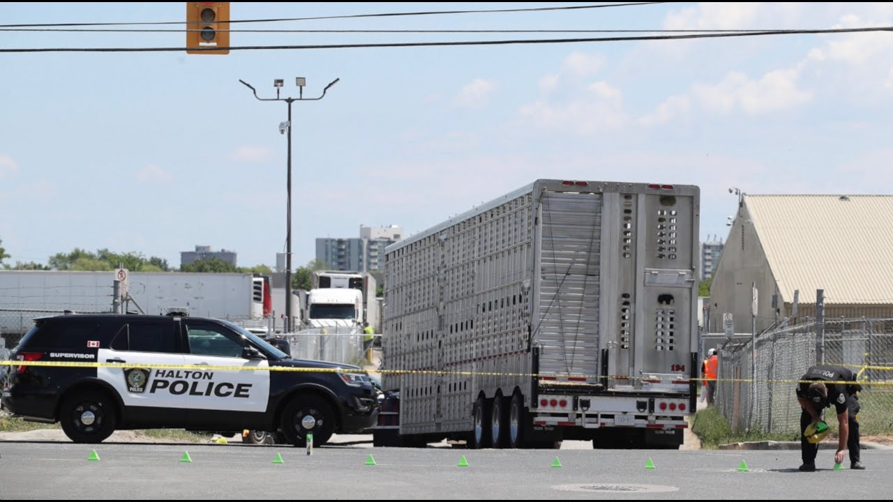 Surveillance video and 911 calls from the scene of animal activist Regan Russell's tragic death