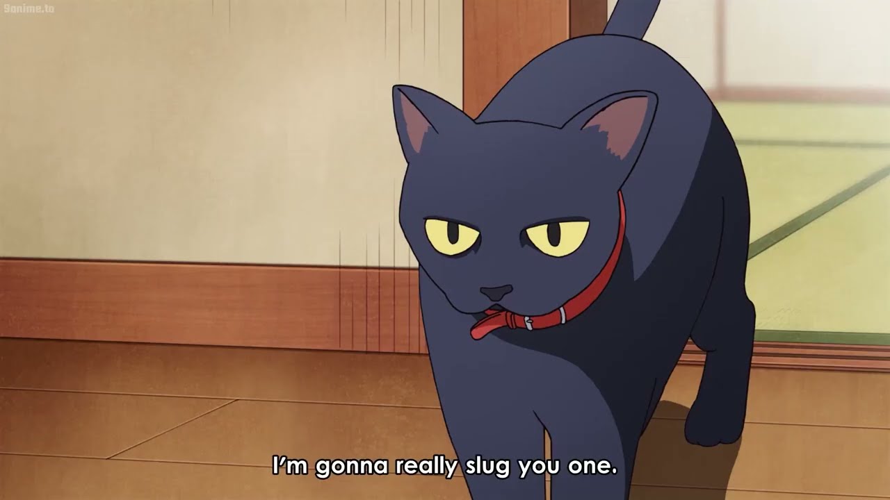 The Way of the Househusband Best Moments #44 || 極主夫道 最高の瞬間 - Tatsu Funny Moments