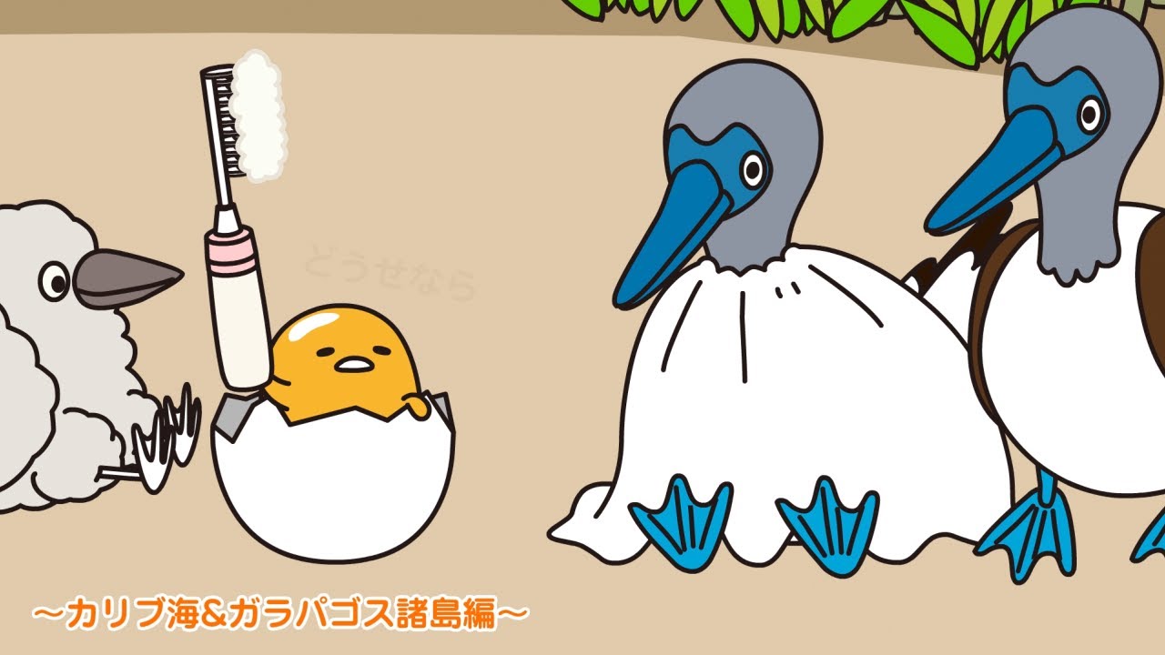 ぐでたまアニメ　第1682話　公式配信