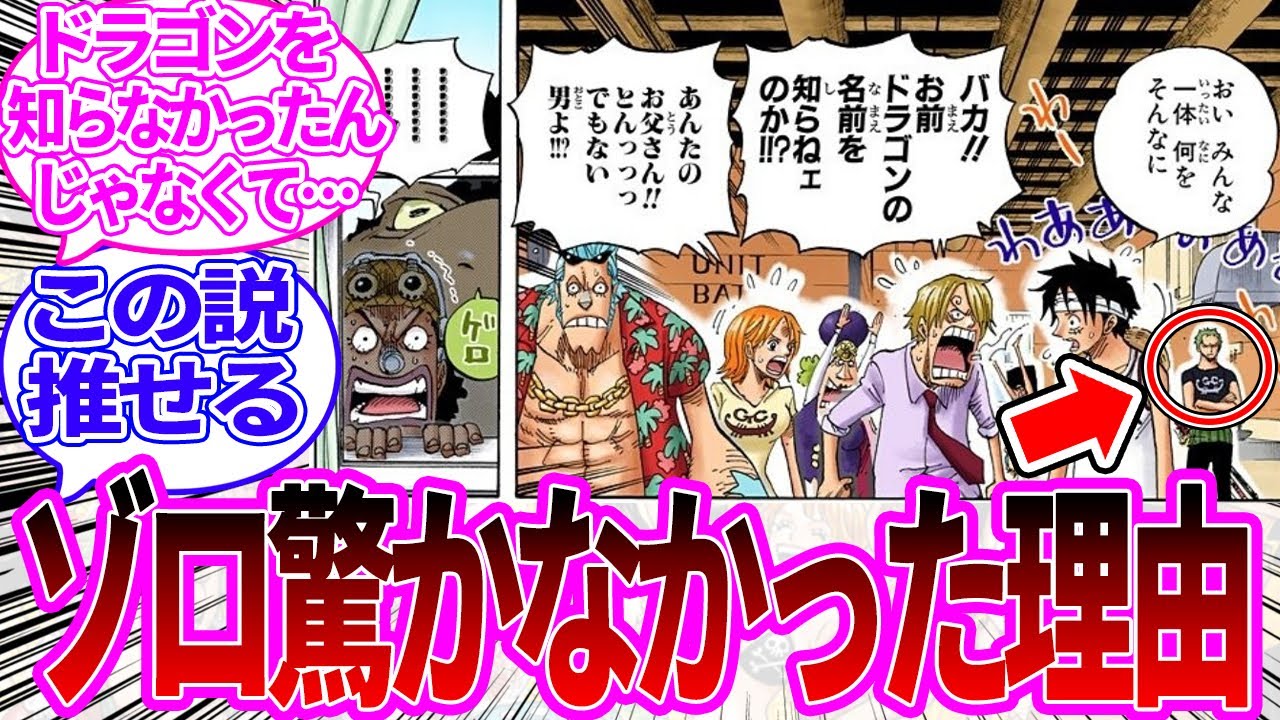 あのシーンと繋がるのか…！！ルフィの父親がドラゴンだと聞いて唯一驚かなかったゾロに対してある説を唱える読者の反応集【ワンピース反応集】