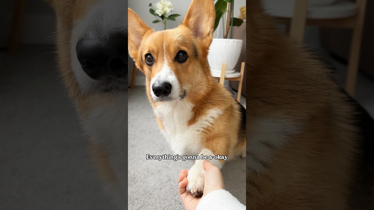 You make my day 🤗