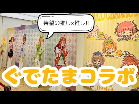 我が家の推し、ぐでたまさんとのコラボ！五つ子ちゃんみんなだらっとしています〜。五等分の花嫁サンリオ
