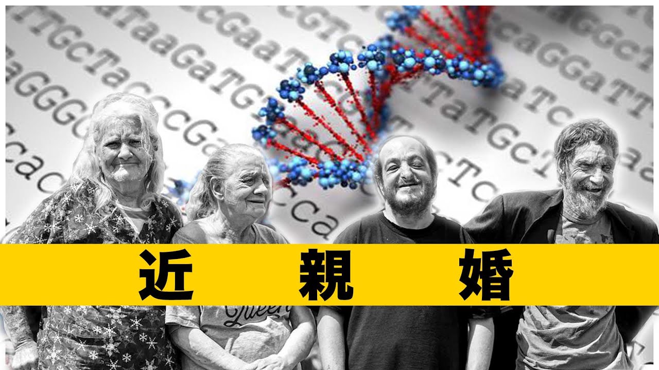 近親婚はどれほど恐ろしいのだろうか?!科学の人類発展に対する重要性