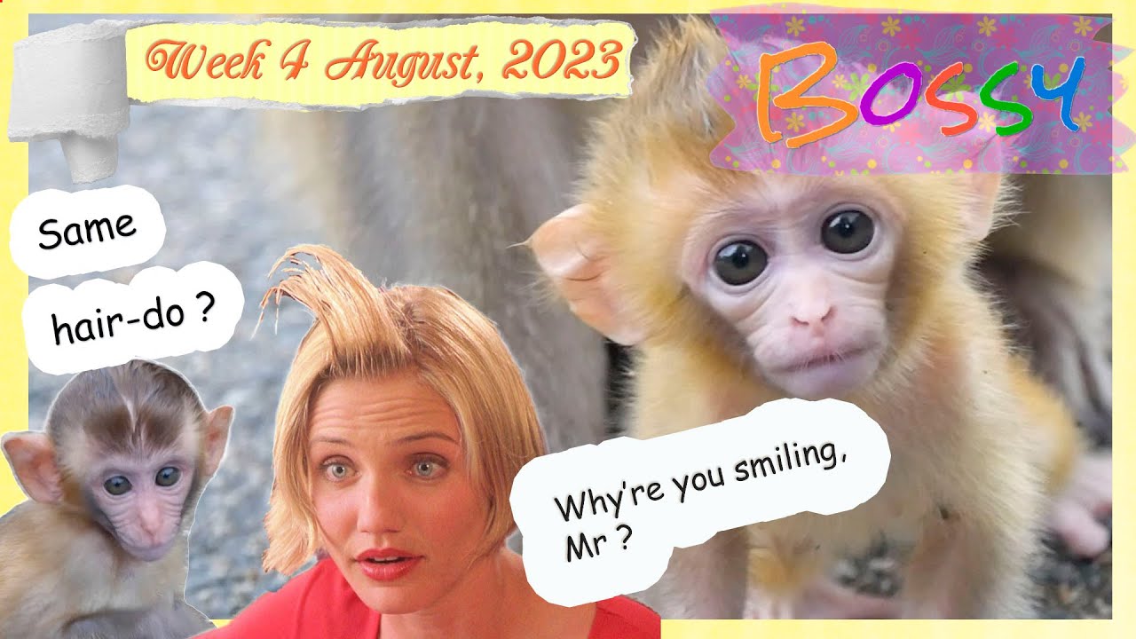 Babies 🤣 make my day V - mum, it's tea time 🍼