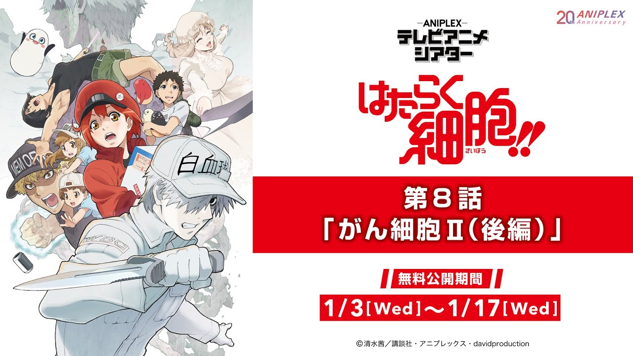 『はたらく細胞!!』第8話「がん細胞Ⅱ（後編）」【アニプレックス テレビアニメシアター】　※2週間限定配信。1月17日(水)まで