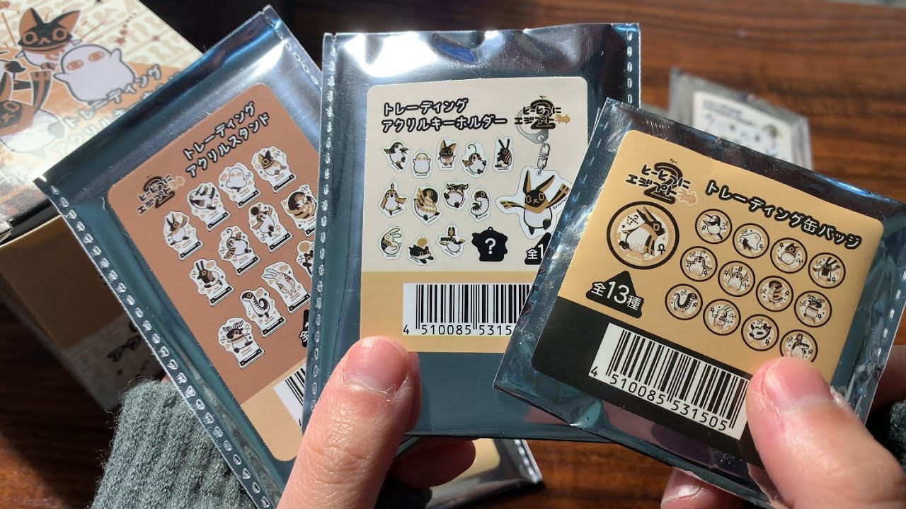 【作業ASMR】とーとつにエジプト神グッズを開封,収納する音フェチ♪/無言,キャンドゥ購入品