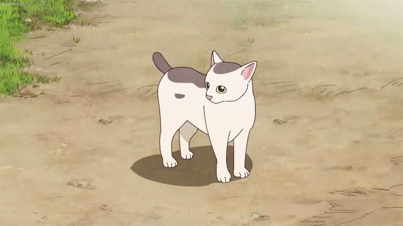 The Way of the Househusband Best Moments #15 || 極主夫道 最高の瞬間 - Tatsu Funny Moments