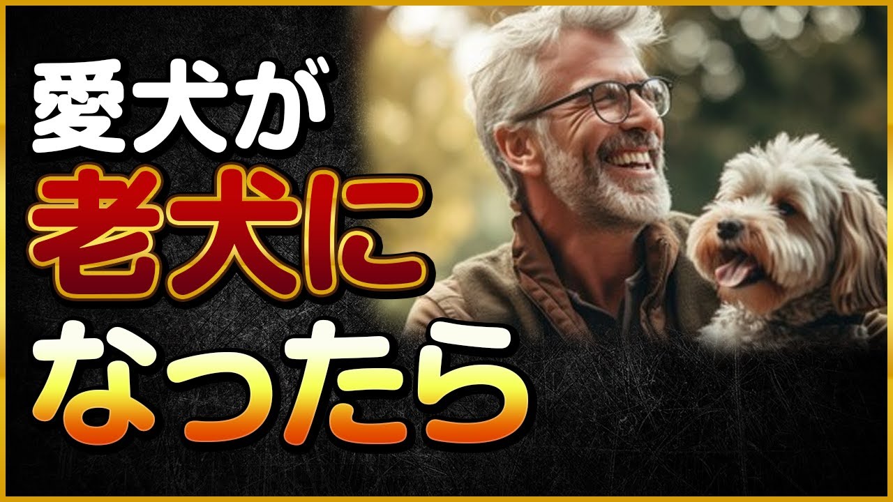 老犬になったら何をすればいい？