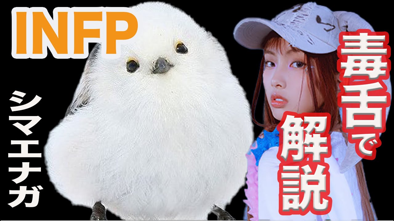 【シマエナガ】外見至上主義の鳥。解説します。【毒舌解説】