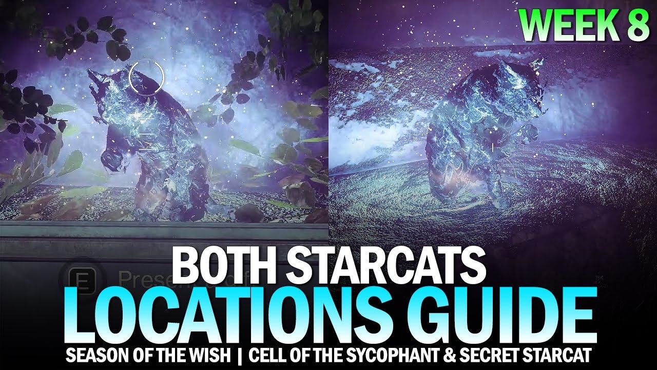 Both Starcats Locations Guide - Week 8 (Cell of the Sycophant & Secret Starcat) [Destiny 2]