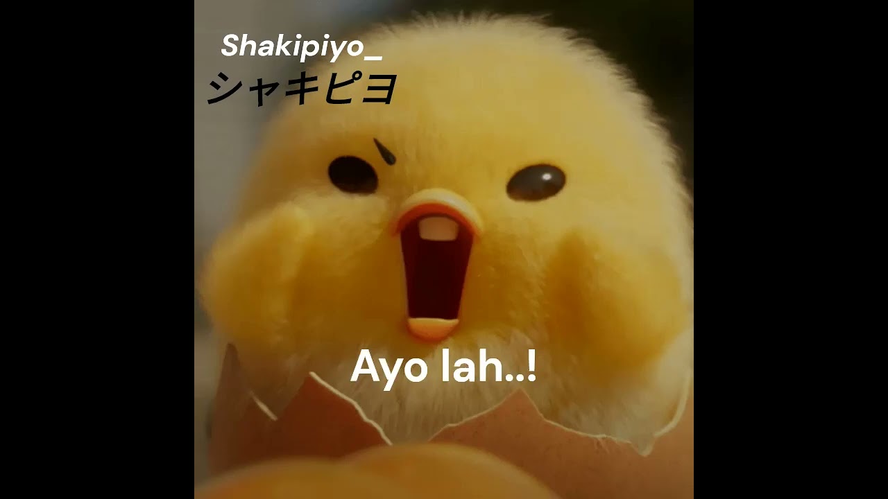 Dasar_Ayam*||Shakipiyo||シャキピヨ||#shorts #anime