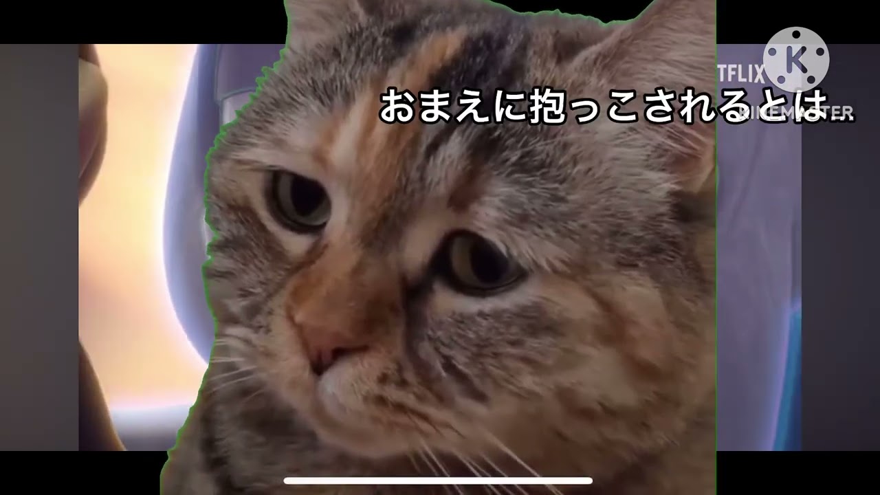 ソニックプライムの一部のシーンを猫ミームなりにしてみた
