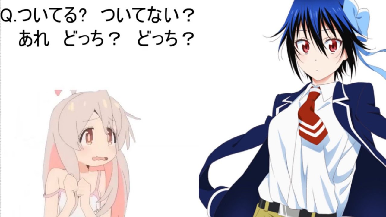 【まひろちゃんと見る】ついてる？ついてない？診断64