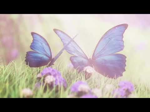 アニメ『シュガーアップル・フェアリーテイル』