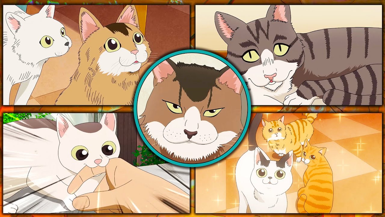 The Way of the Househusband - Cats | Gokushufudo - Neko