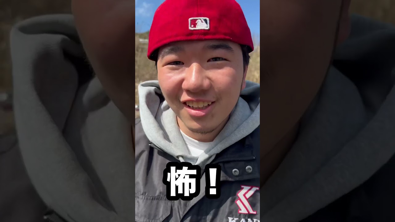 暴走族に凸ってみた！ #暴走族 #cbr400f #xjr400 #コール