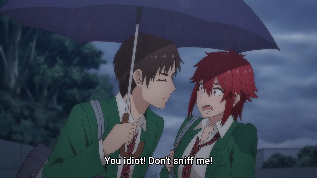 Jun and Tomo share an Umbrela and... | トモちゃんは女の子！Episode 1