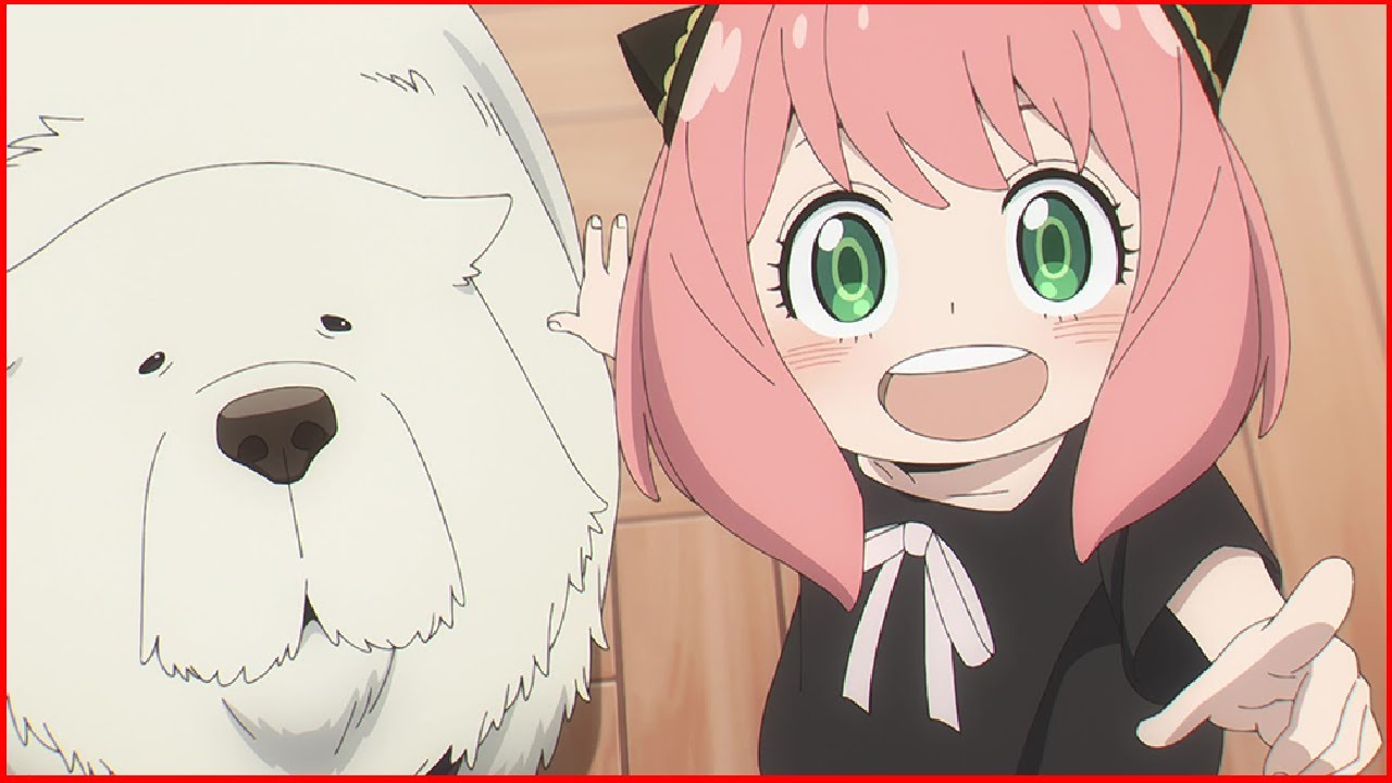 🔴Anya & Yor's English Voice Actors Break Down Their Spy x Family CODE: White Arcs🔴