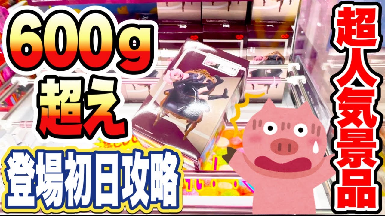 【クレーンゲーム】超人気プライズフィギュア登場初日攻略！脅威の600グラム超え！？橋渡し設定の取り方！スパイ教室 アネット ドラゴンボール 桜ミク CGS熊谷 UFOキャッチャー