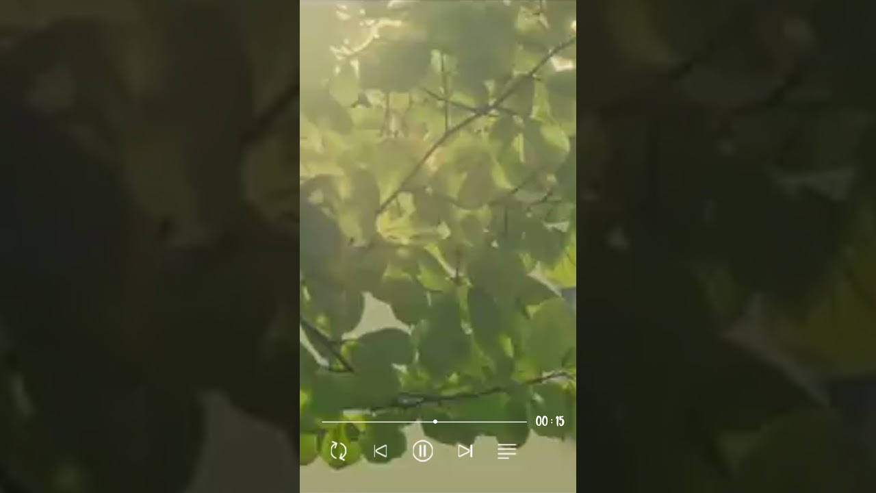 Da iCE   「CITRUS」日本テレビ系日曜ドラマ「極主夫道」主題歌  #jpop #jpopメドレー #mvshorts