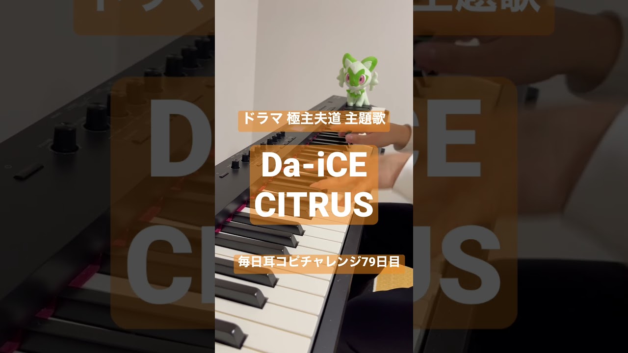 【極主夫道】Da-iCE / CITRUS 弾いてみた【ピアノ耳コピ】