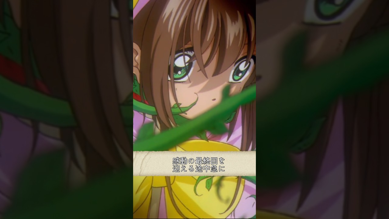 とんでもない理由で炎上した国民的アニメ#カードキャプターさくら#ワンピース#放送事故#トラウマ