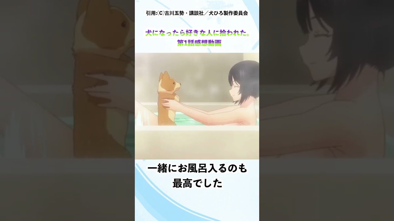 【犬ひろ 第1話】今期の紳士向けアニメ♪露骨だがそれがいい‼︎犬ひろ第1話【アニメ・感想・レビュー】#shorts