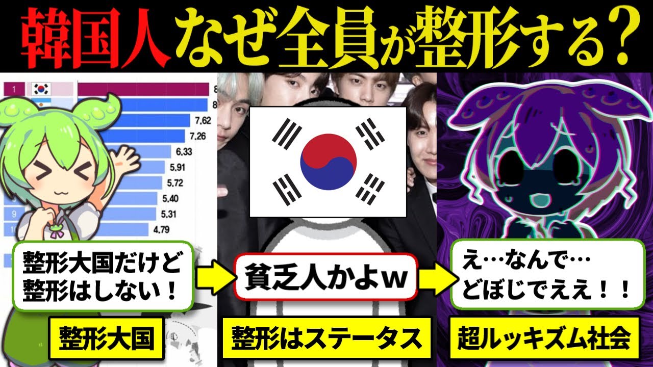 【整形大国】なぜ韓国人は整形をやめられないのか「もっと美人にして！」KPOPアイドルにも流行る超外見至上主義になってしまった本当の理由…【ずんだもん】【ずんだもん解説】