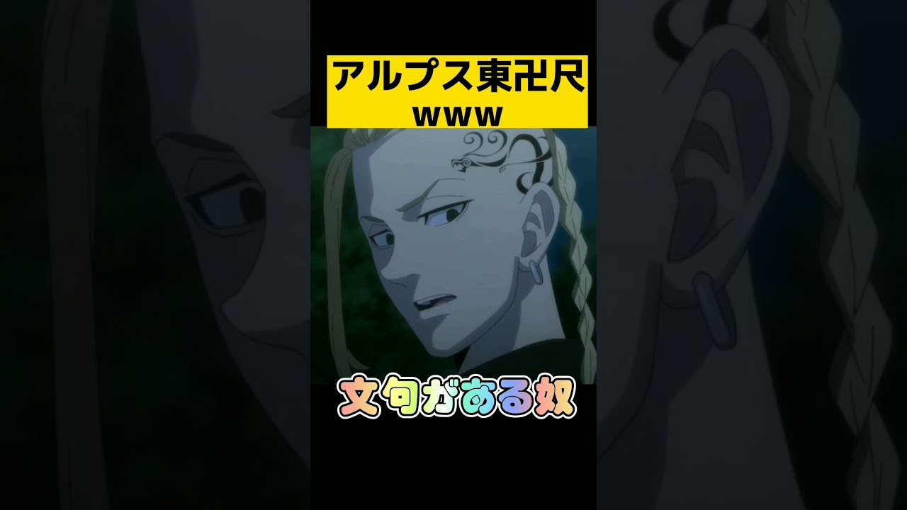 【東リべ】アルプス東卍尺www