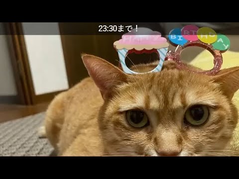 【24時間後】ル・マンも少々SR配信 #たけやま3.5 2024.6.16