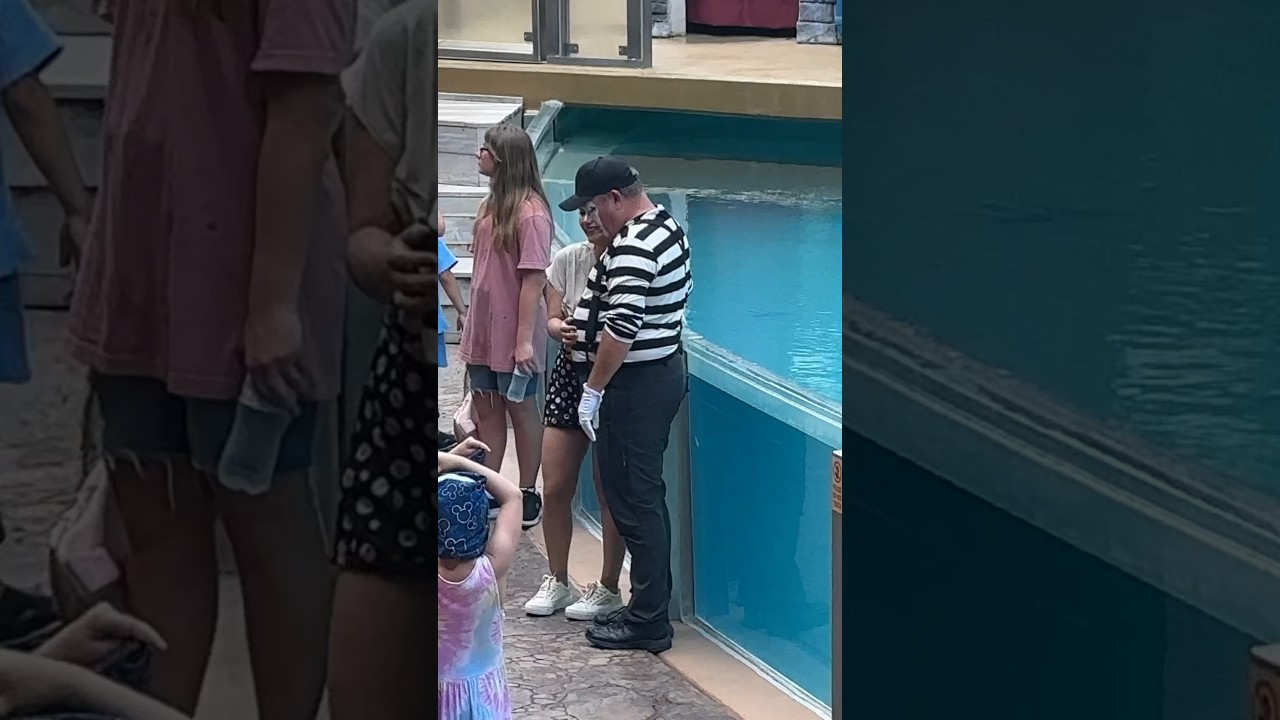 The best moment ever 😂 the entire video make my day 😂 Tom mime SeaWorld #seaworldmime #funny