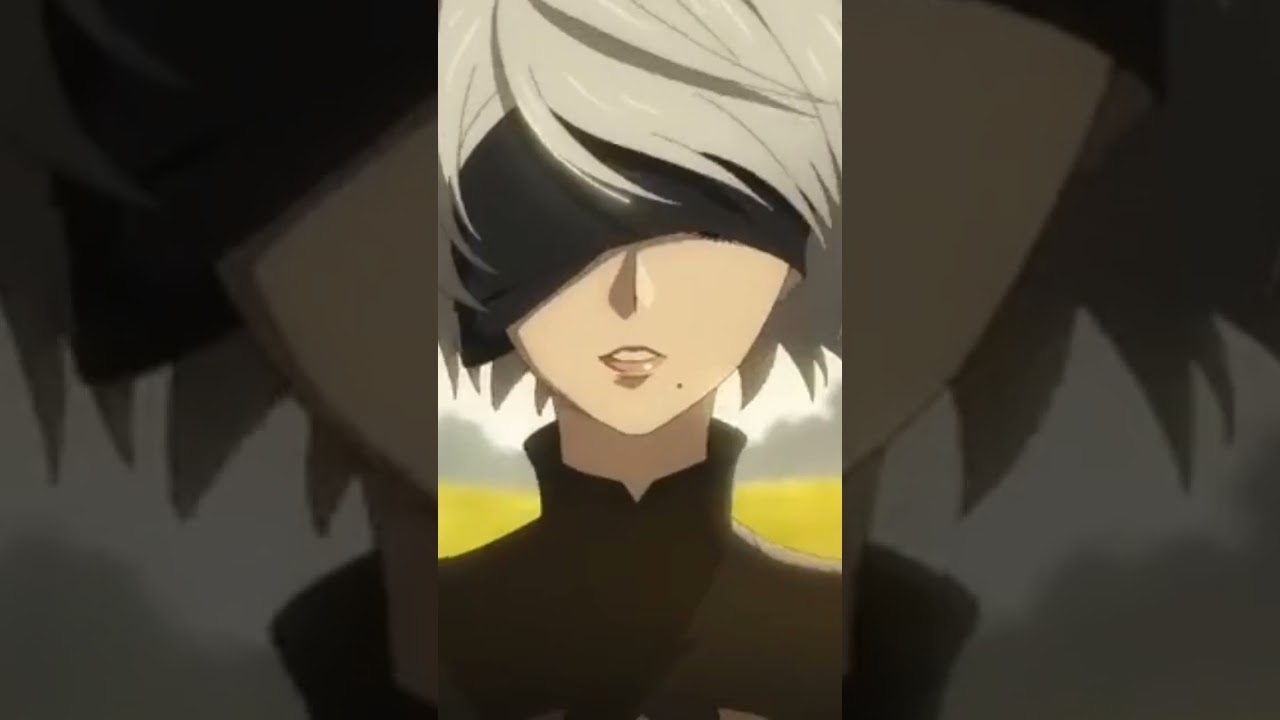 『NieR:Automata Ver1.1a』