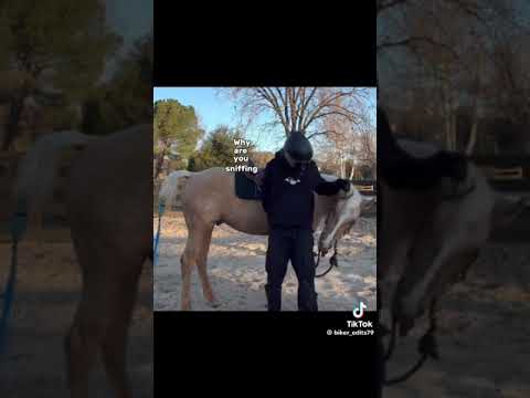 He can make my day any day