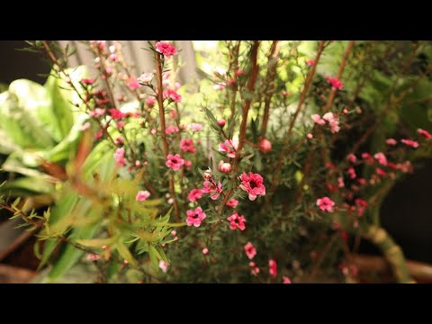 little simple things in the morning make my day!