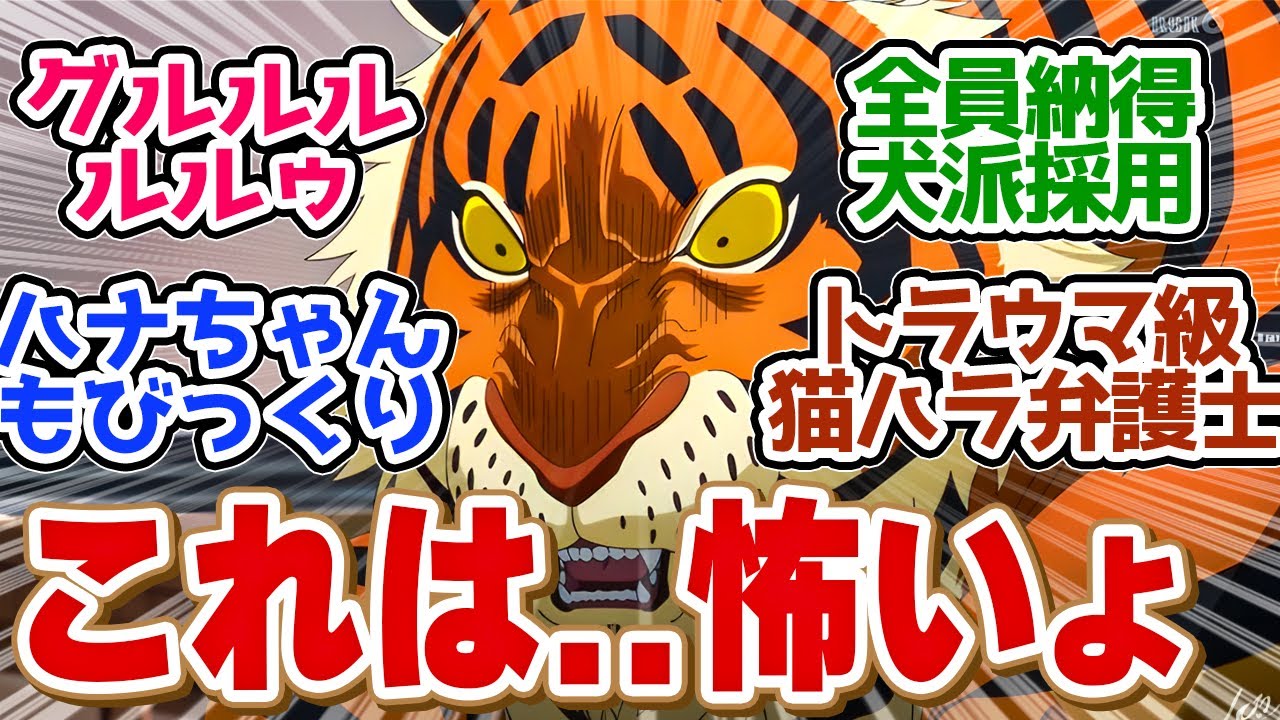 猛虎注意？〇〇の時期だけ気をつけて！ブラシ前任は猫ハラストーカー弁護士でやばすぎる第５話の読者の反応集【赤猫ラーメン】【赤猫　5話】