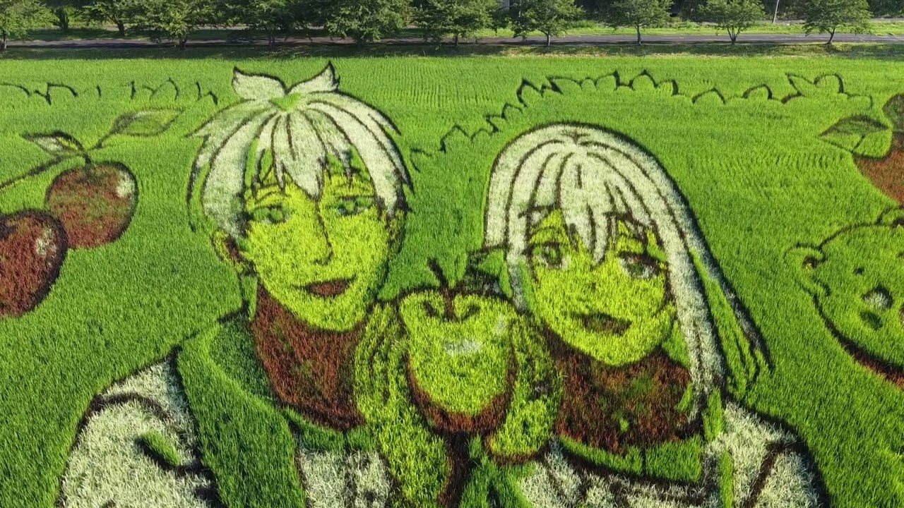 【田舎館村田んぼアート】第2会場ドローン映像