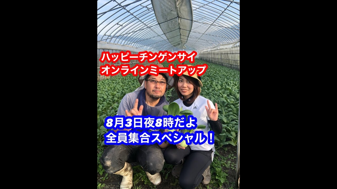 ハッピーチンゲンサイオンラインミートアップ