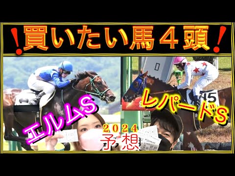 【エルムS &レパードS 2024】馬券に入れたい馬はこれ【予想】
