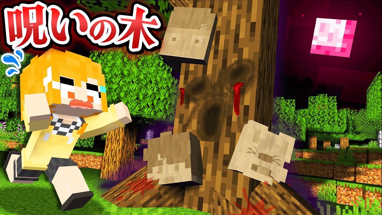 人を吸収する？！夜になると動き出す「呪いの木」を調査するホラーマインクラフト😱🌳『都市伝説』【まいくら・Minecraft】よろずや🍭